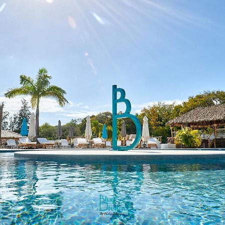 Residence Kawann Plage & Piscine - Hamaca 102 Folle Anse Eksteriør bilde